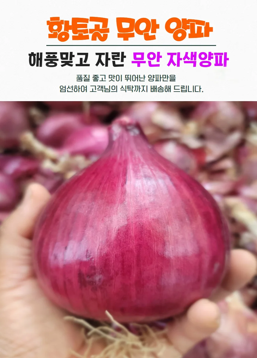 전남 무안 황토골 자색양파 중대혼합 3kg 상세1