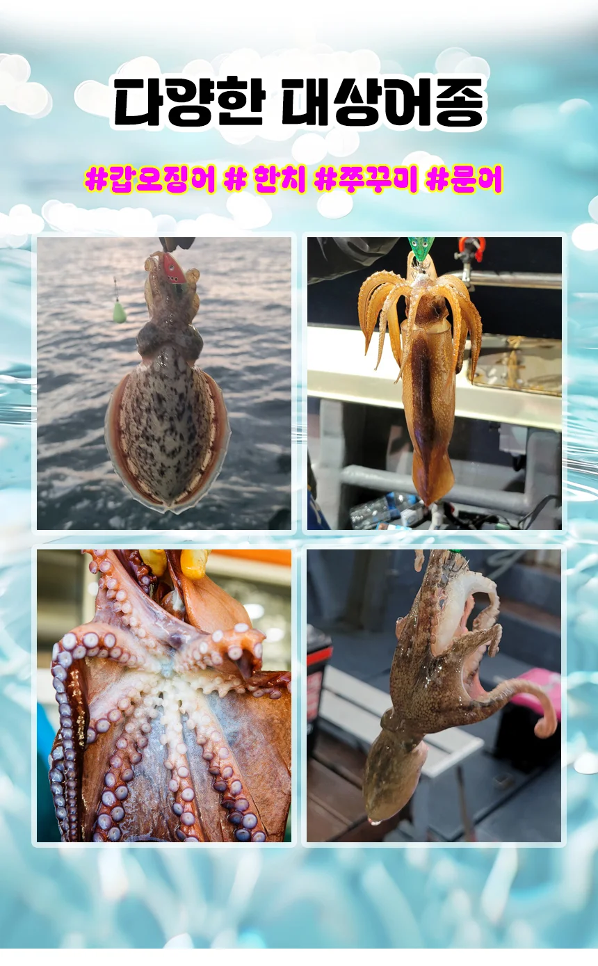 야광수평에기 낚시용 한치에기 쭈꾸미 갑오징어에기 상세5