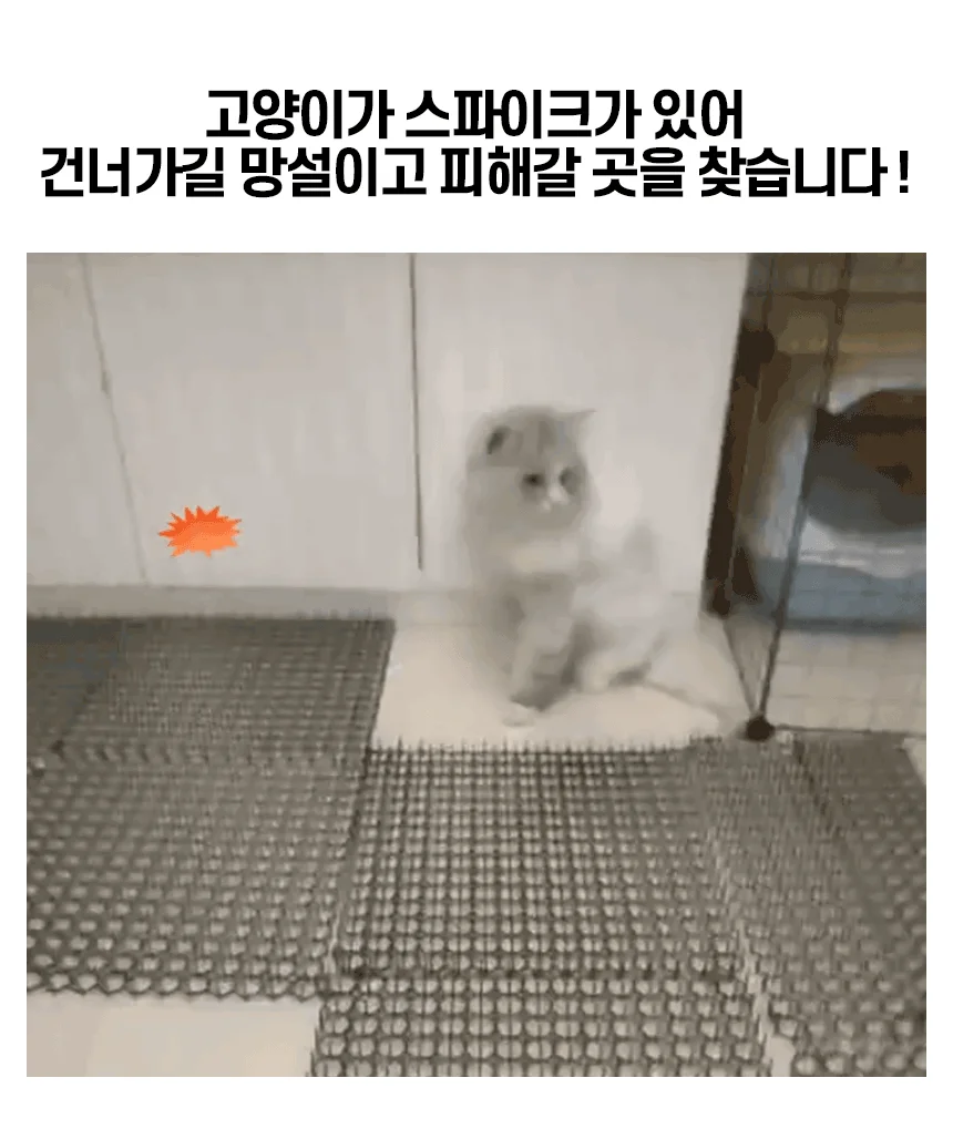 길고양이 비둘기 퇴치 캣 버드 스파이크 매트 6개입 상세2