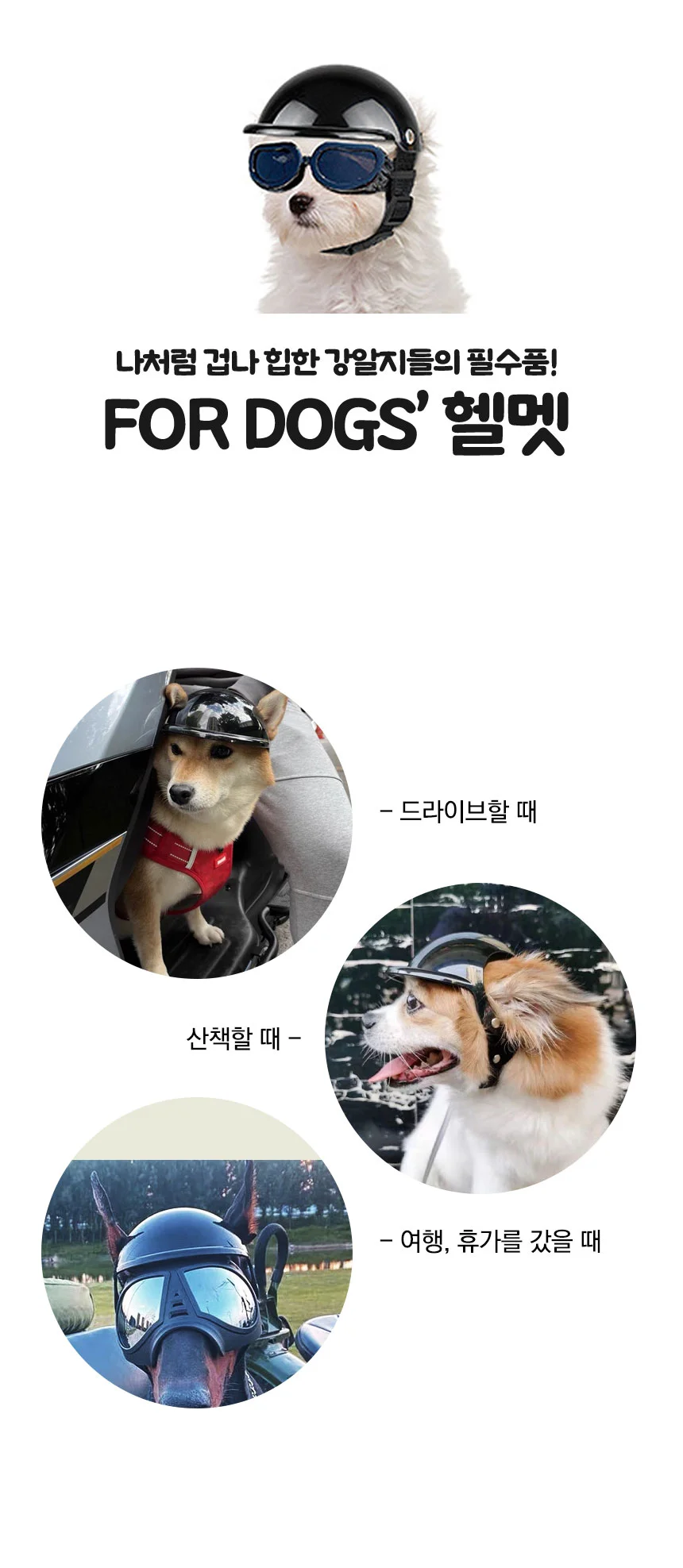 PET 강아지 고양이 헬멧 드라이브 머리보호 모자 상세1