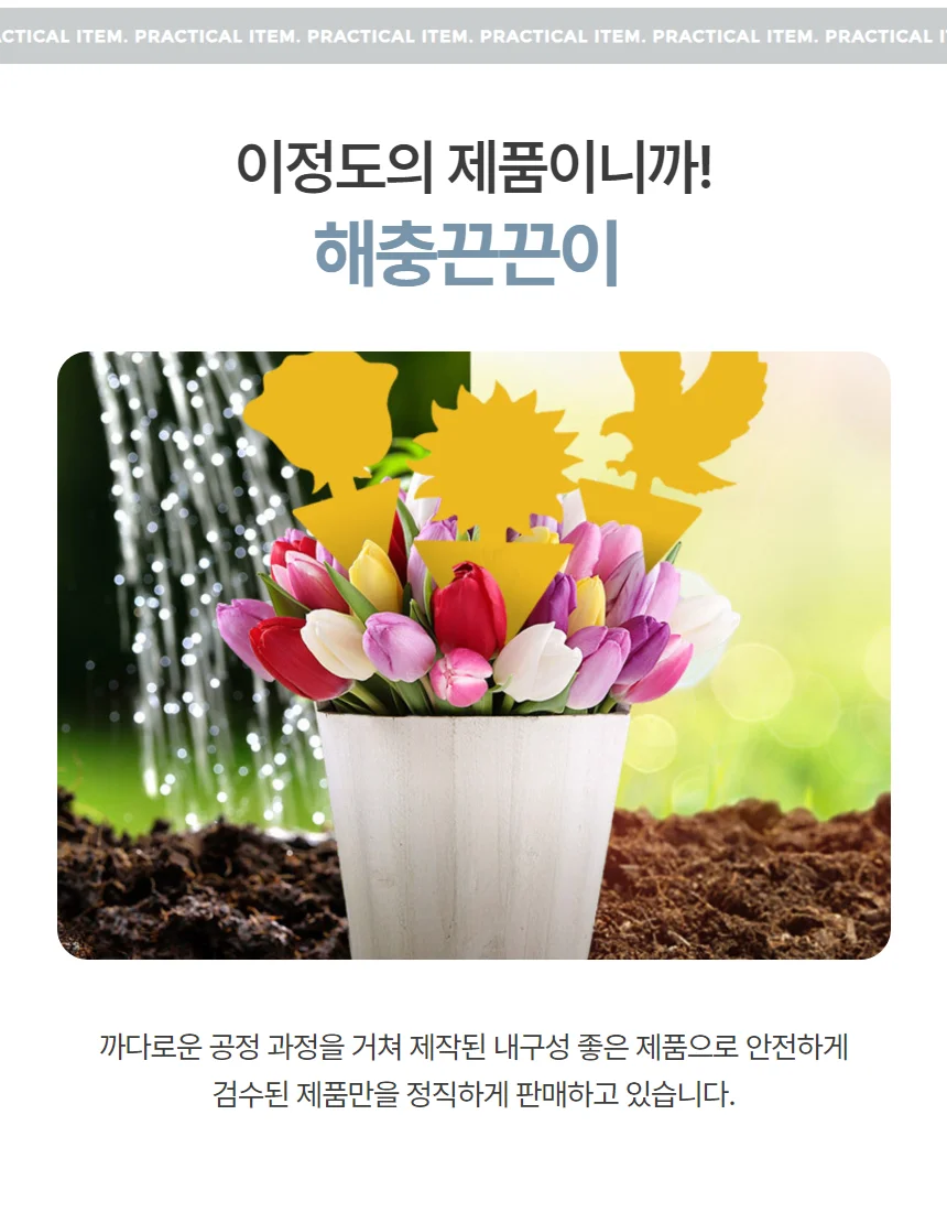 해충끈끈이 날파리퇴치 초파리트랩 나비 꽃 꿀벌 20매 상세3