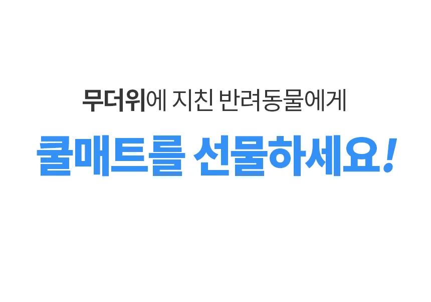 혼시티 강아지 쿨매트 고양이 쿨링 방석 젤타입 상세4