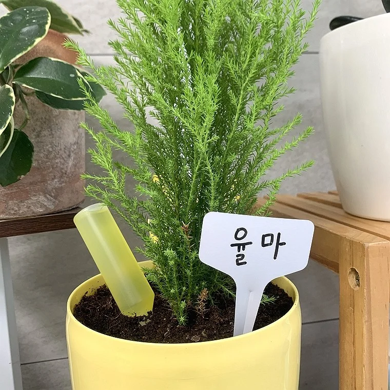 T형 식물이름표 20P 한세트 10x6cm 흰색 기본형