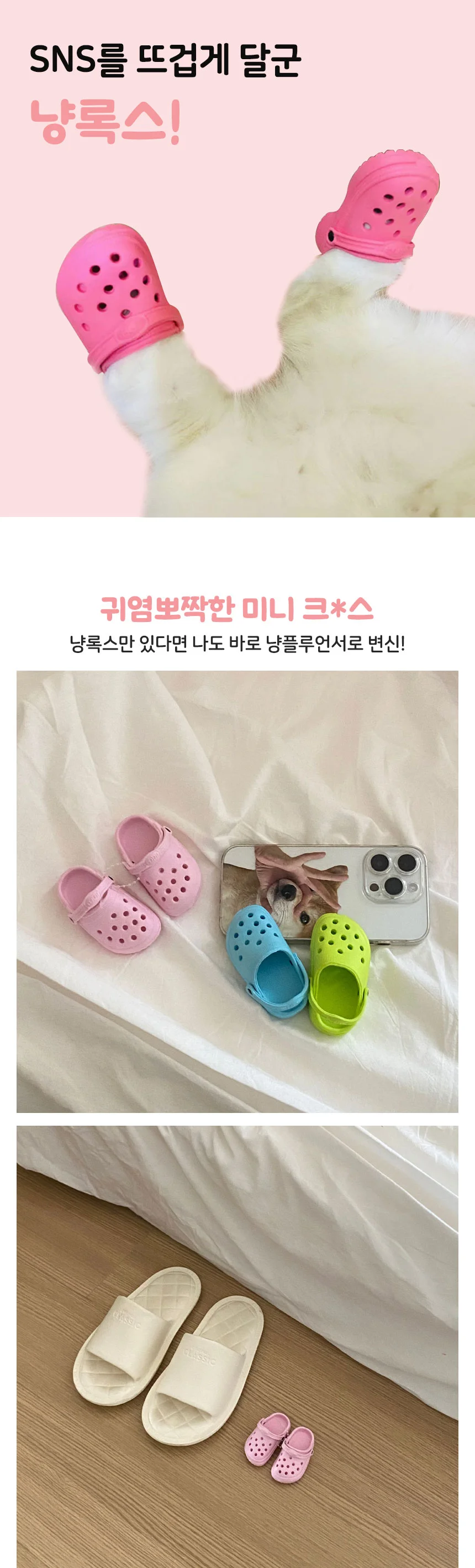 PET 고양이 냥록스 애견 신발 촬영 소품 상세1