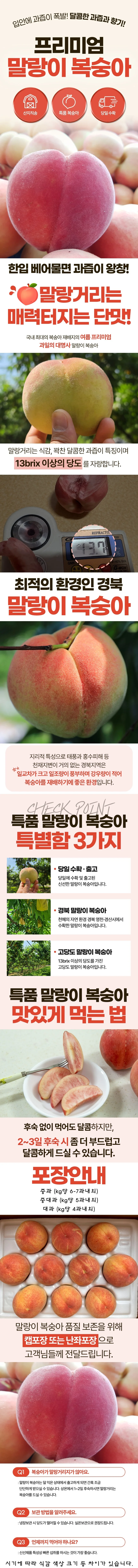 백도 말랑이 복숭아 중과 2kg 상세1