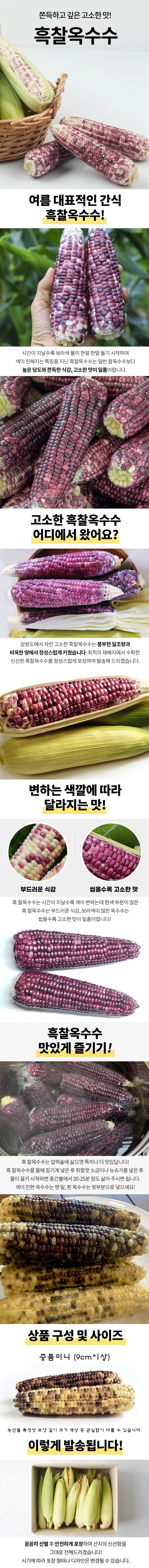 흑찰옥수수 중품 20개 상세1
