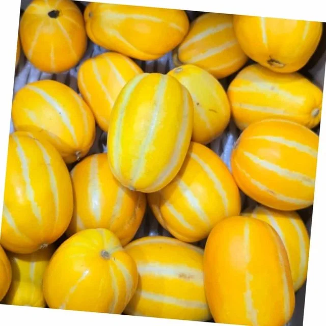참외 5kg 손맛 가정용반찬 어머니손맛