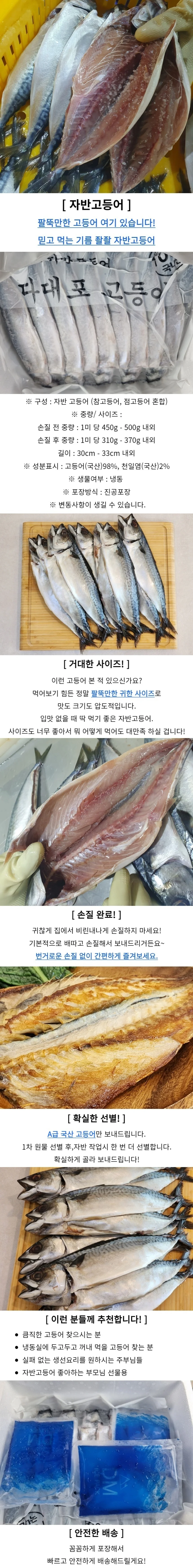자반고등어 10미 대 간고등어 가정식반찬 맛있는생선 상세1