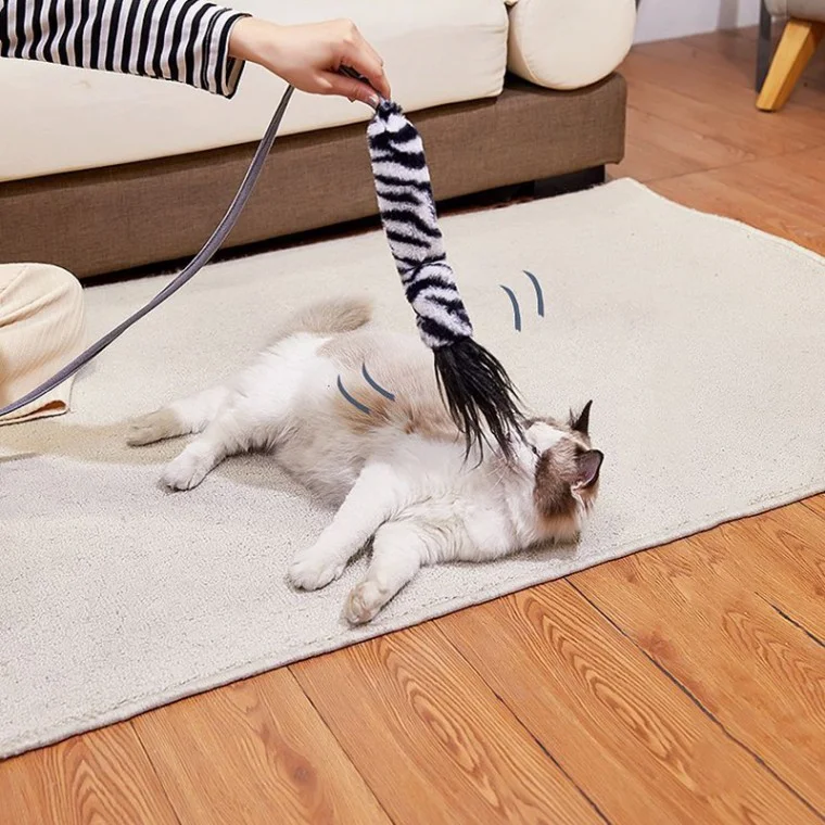 고양이 움직이는 장난감