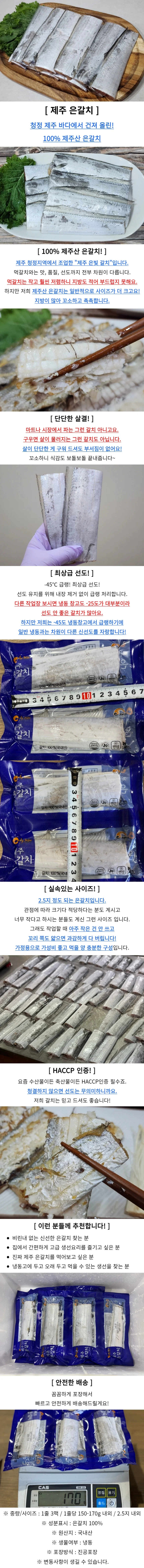 제주 은갈치 15토막 소 제주갈치선물 갈치찌개 상세1