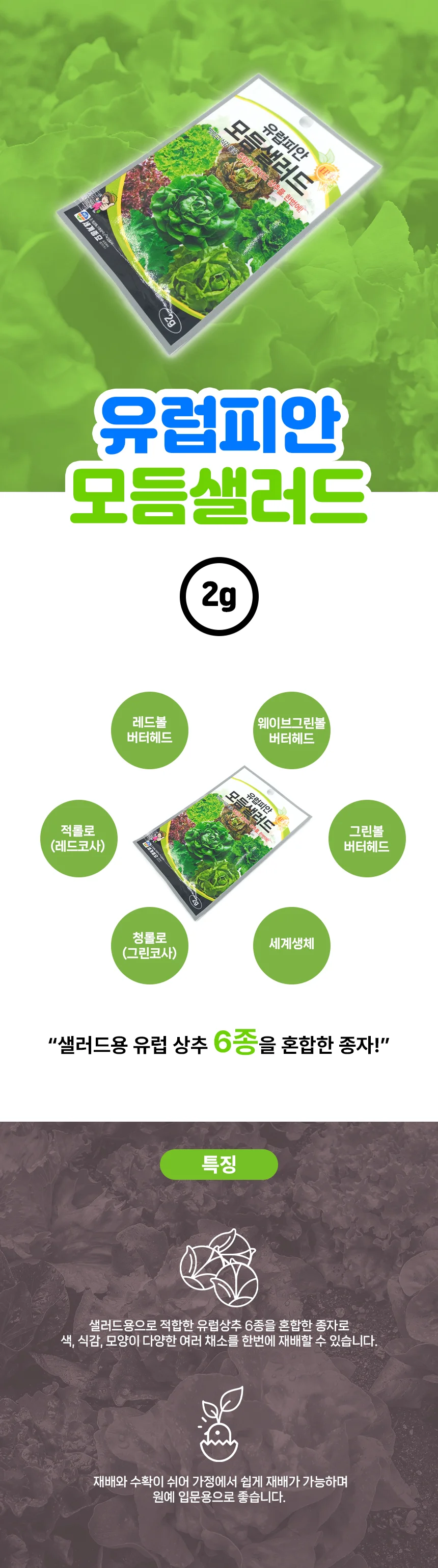쉬운 채소 키우기 세계 종자 샐러드 씨앗 홈가드닝 상세2