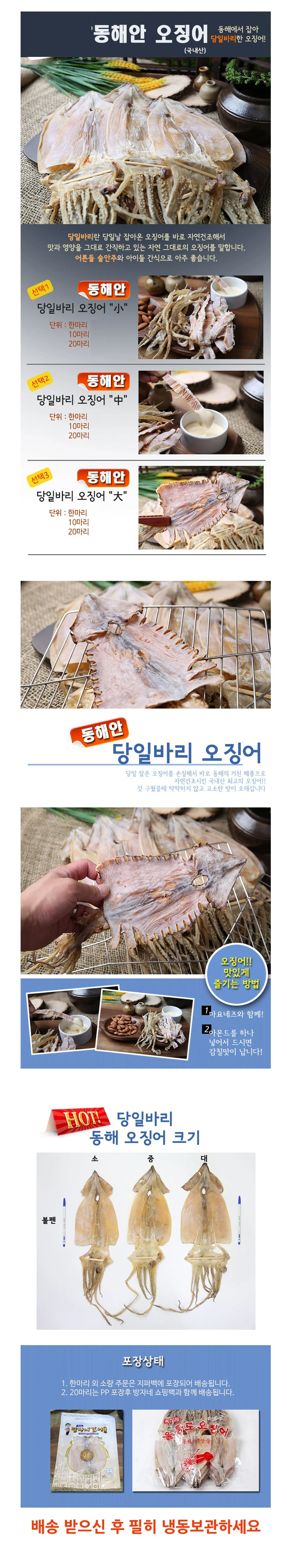 VB 동해안 당일바리 오징어 크키별로 (대) 10마리 상세2