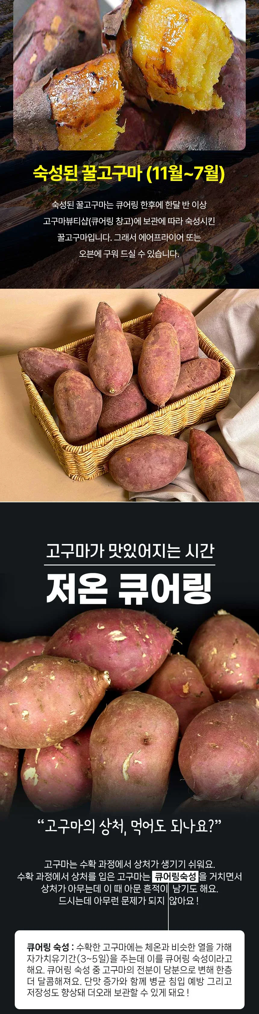 해남 저온큐어링 고당도 세척 꿀고구마 3kg 중 상세2