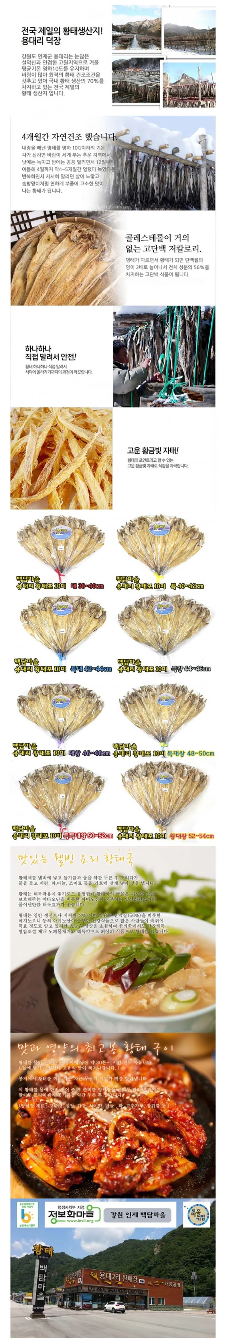 용대리 황태포10미(특특대왕 50-52cm) 상세1