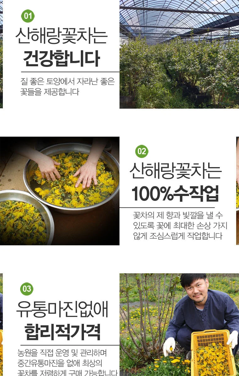 구절초꽃차 15g 상세3