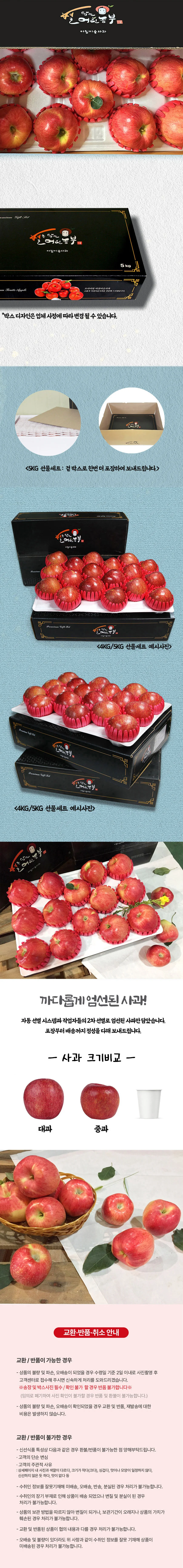 홍로사과 선물세트 4kg 대과 (12과내외) 상세2