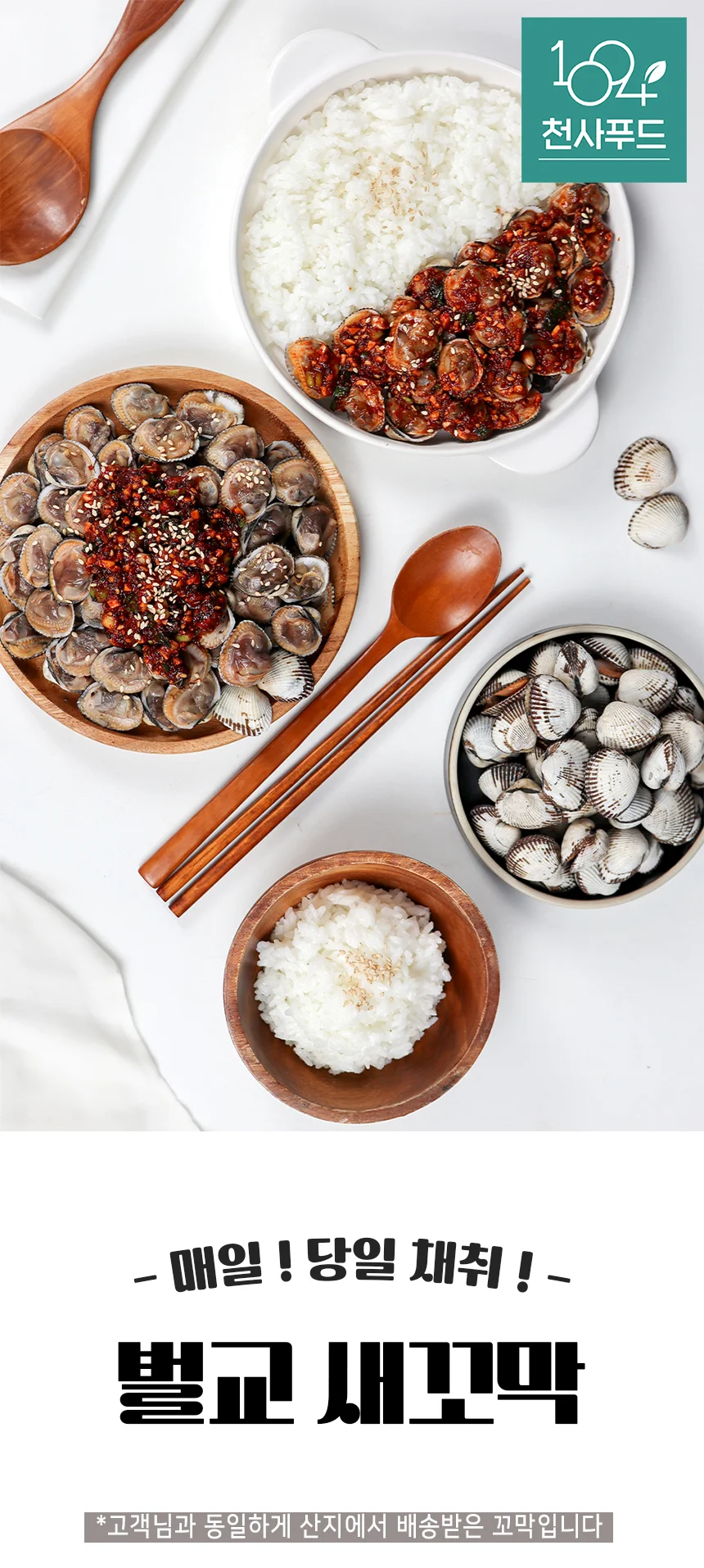 당일채취 산지직송 벌교 새꼬막 왕대 1kg 상세1