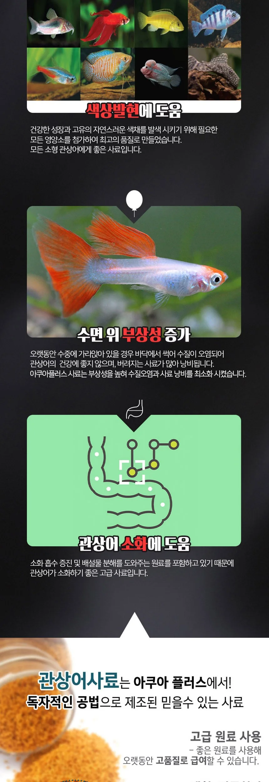 열대어 골든밥 65g 관상어 고급사료 상세4