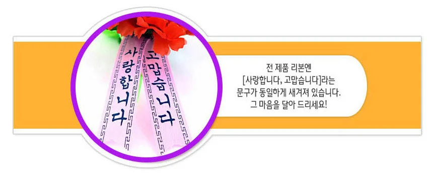 카네이션 조화 (케이스D형) 옷핀포함 어버이날 행사 상세3