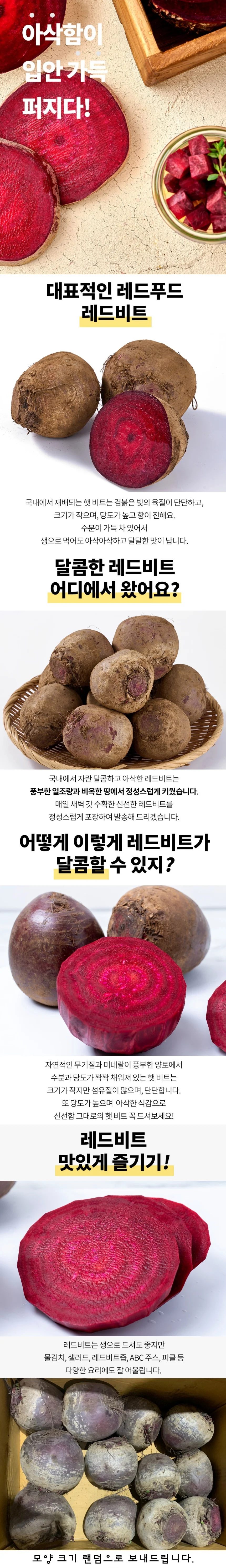 레드비트 5kg 상세1