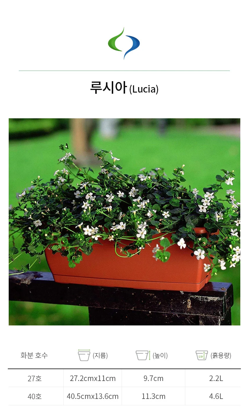 루시아 플라스틱 화분 상세5