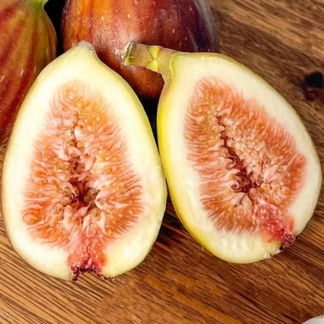 홍무화과 500g