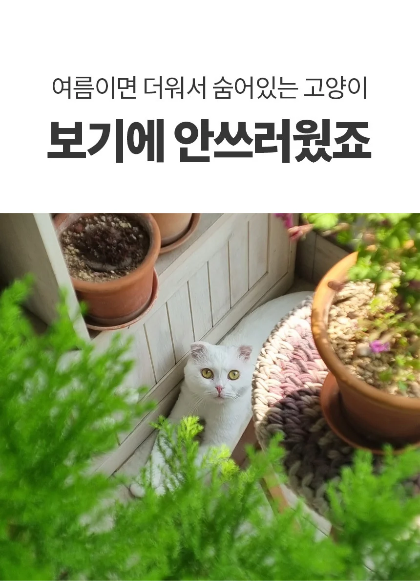 혼시티 강아지 쿨매트 고양이 쿨링 방석 젤타입 상세1