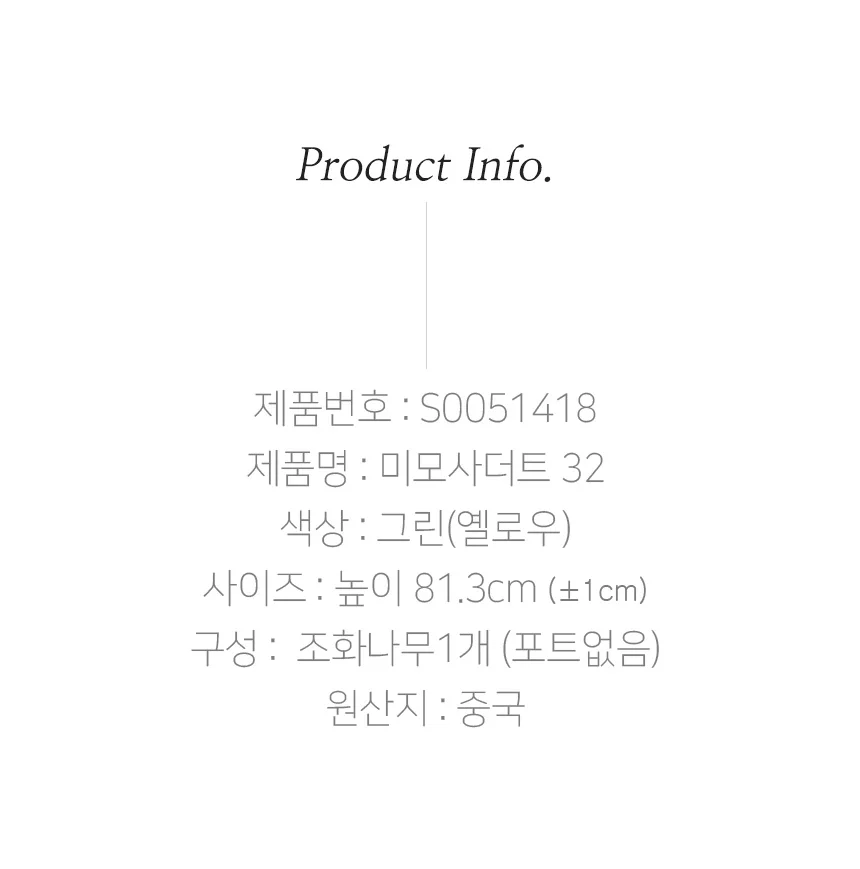 미모사더트 32 상세3