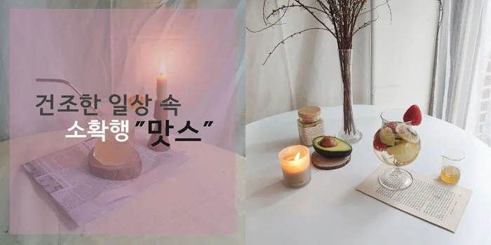 씨있는레몬칩 500g 대용량 건조레몬 레모네이드 레몬 상세1