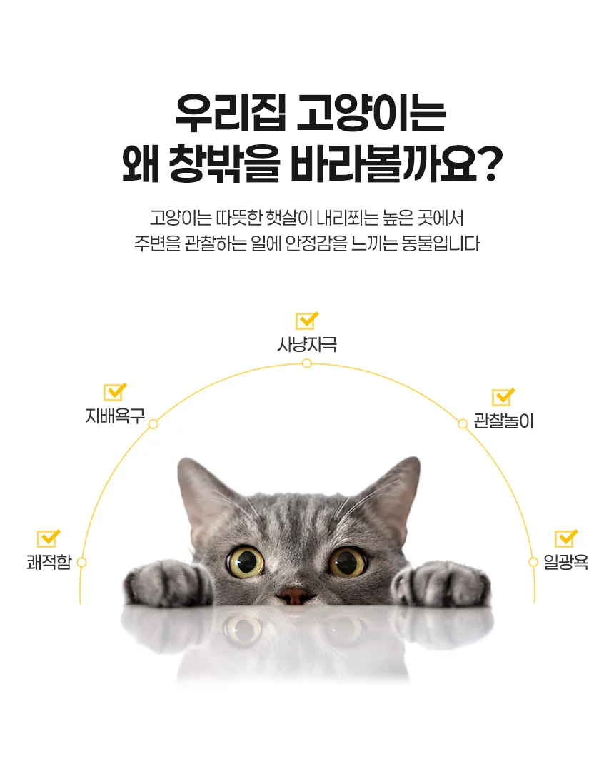 고양이 창문 소형 캣워크 뚱냥이 해먹 상세3