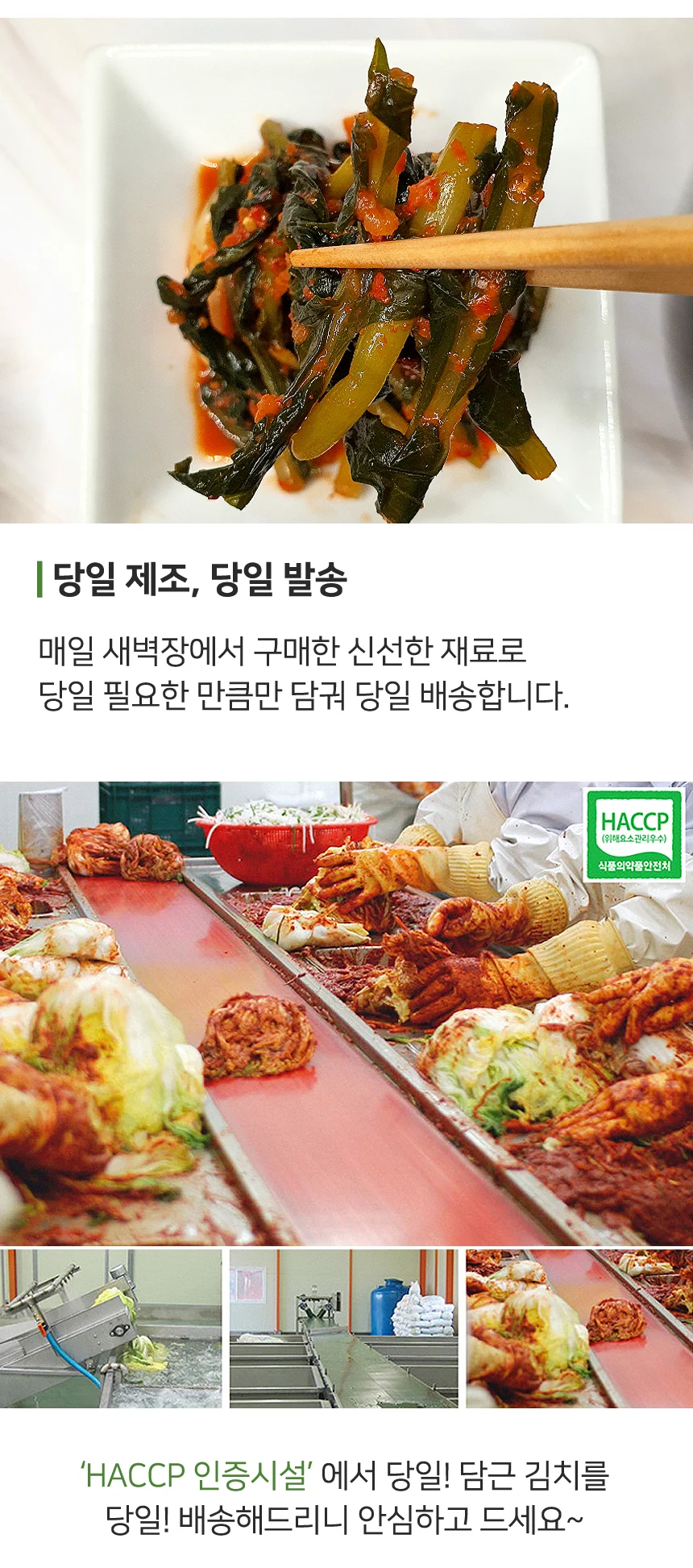 당일생산 전라도 열무김치 5kg (100% 국내산 재료) 상세4