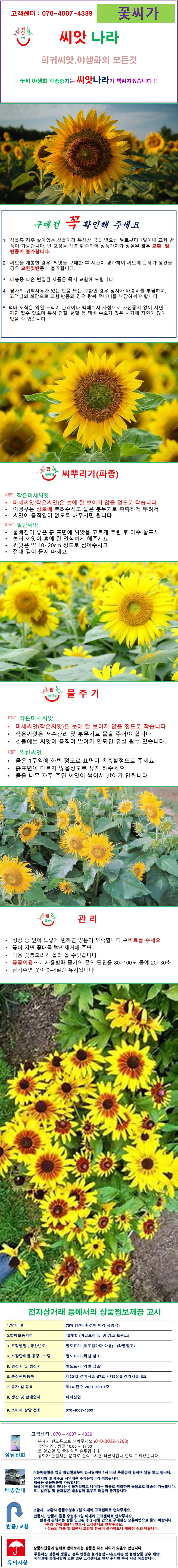 씨앗나라) 큰얼굴미니해바라기 씨앗 10립 상세1