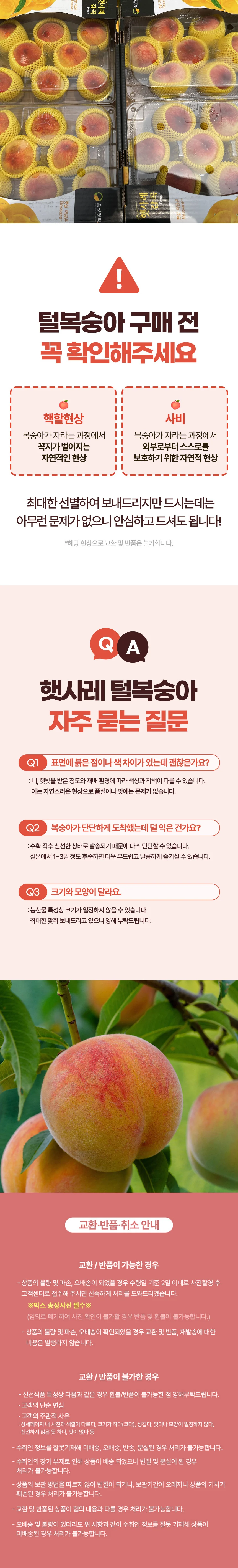 햇사레 황도복숭아 특대과 4kg(13~15과 내외) 상세3