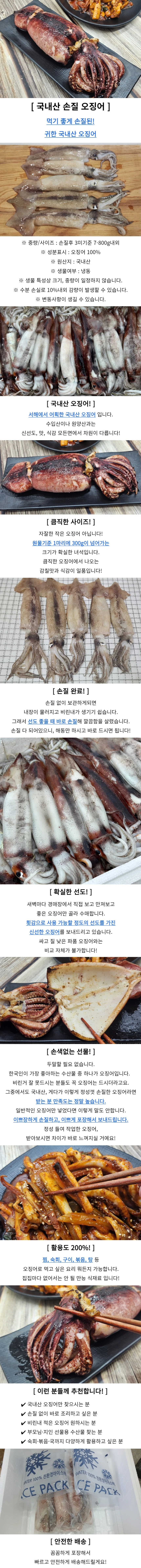 국내산 냉동 오징어 3미 오징어구이 냉동수산물 상세1