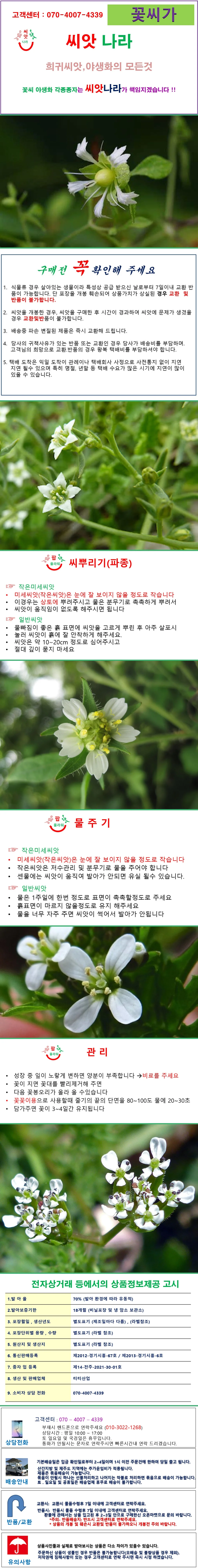 덩굴별꽃 씨앗 20립 상세1