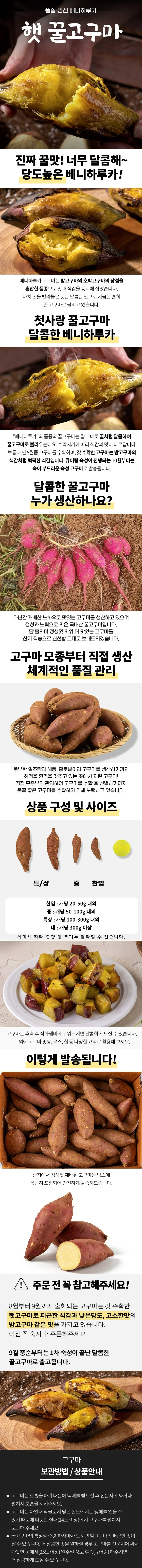 해남 꿀고구마 3kg 대 상세1