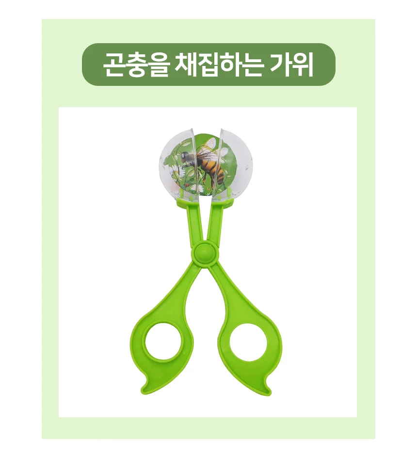 곤충채집 관찰가위 곤충핀셋 곤충집게 곤충관찰도구 상세3