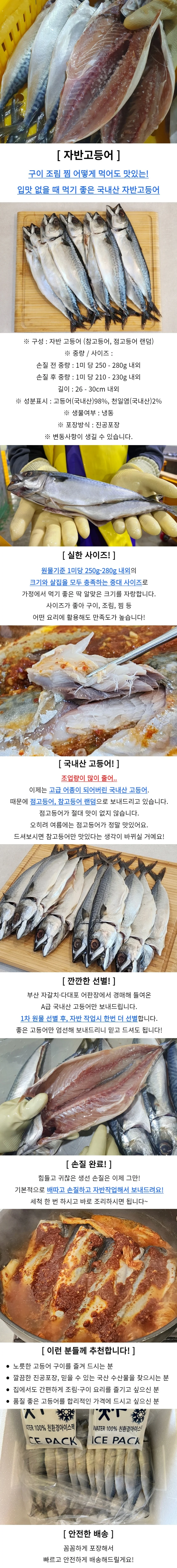 자반고등어 10미 중대 손질고등어 조림용고등어 냉동수산물 상세1