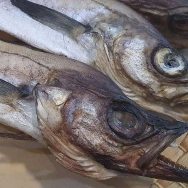 명태 코다리 1미 반건조수산물 업소용수산물