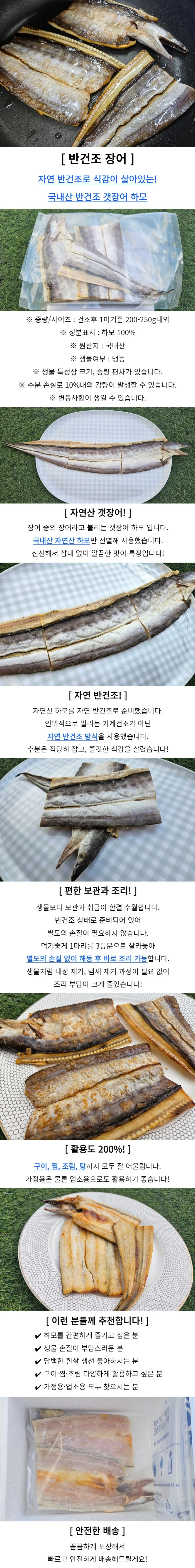 국내산 반건조 갯장어 2미 캠핑장어 장어포장 상세1