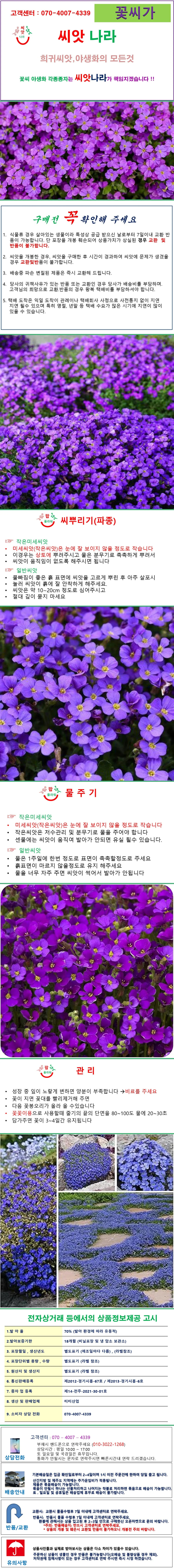 바위꽃다지 혼합색 씨앗 15립 상세1