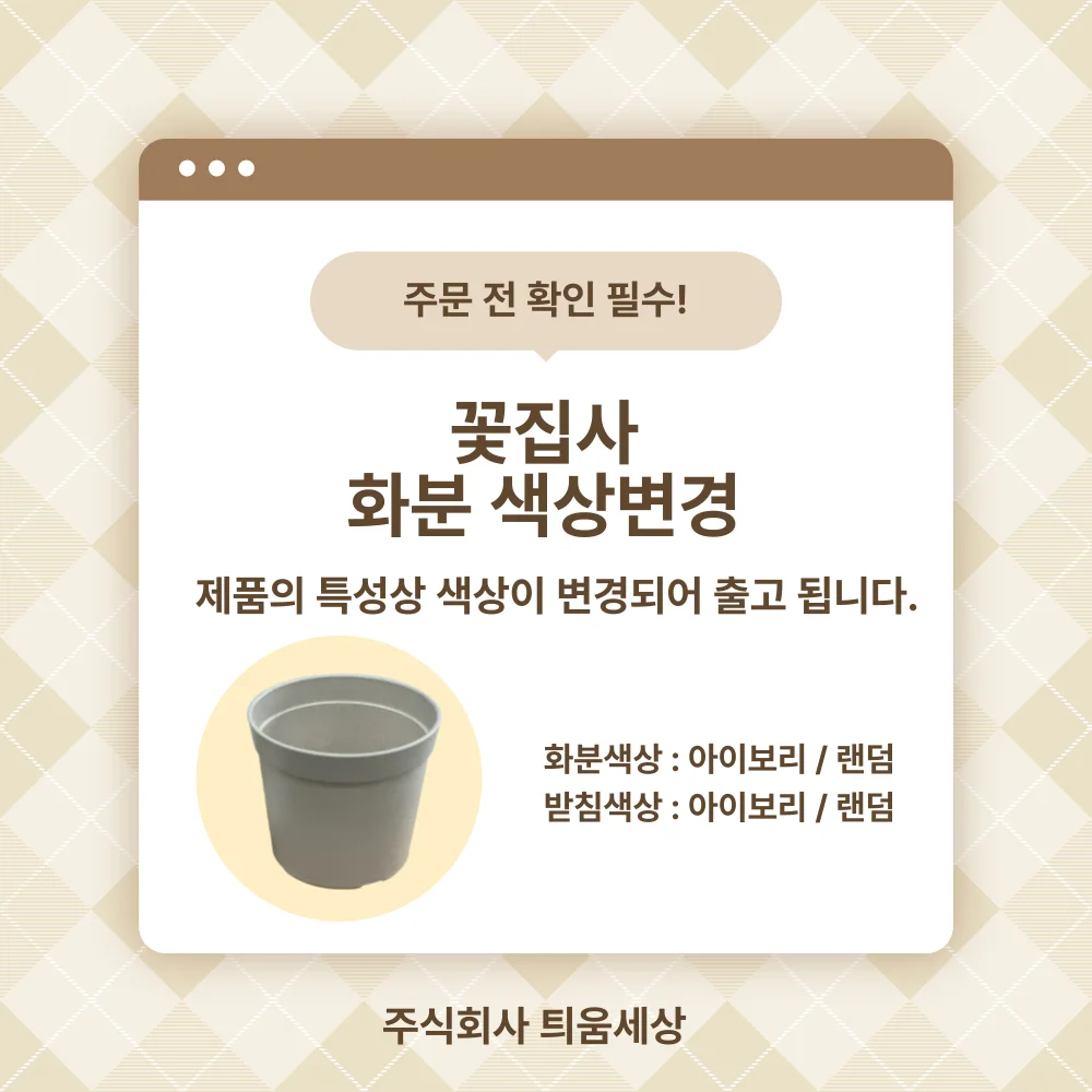 메리골드 키우기 식물기르기 원예체험 새싹키우기 꽃키트 상세1