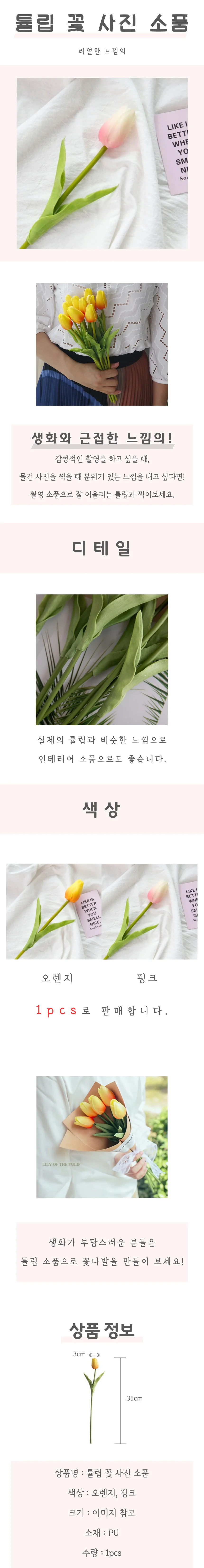튤립 꽃 사진 소품 상세4