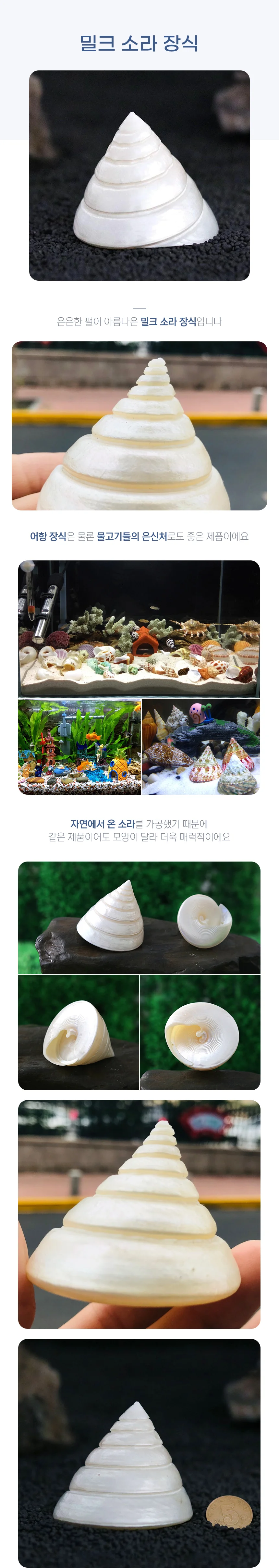 수족관 소라 장식 소라모형 수조은신처 상세1