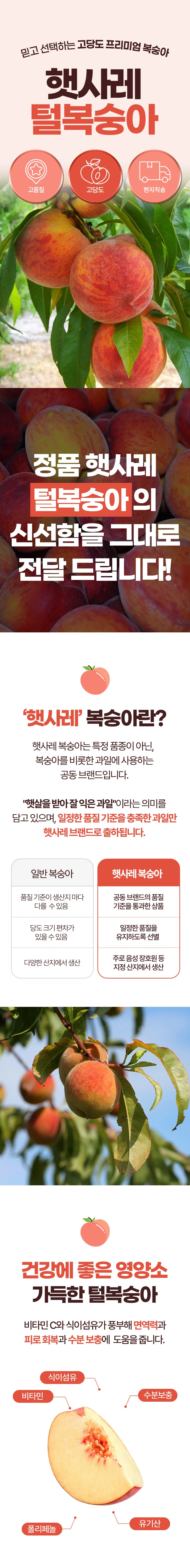 햇사레 황도복숭아 특대과 4kg(13~15과 내외) 상세1