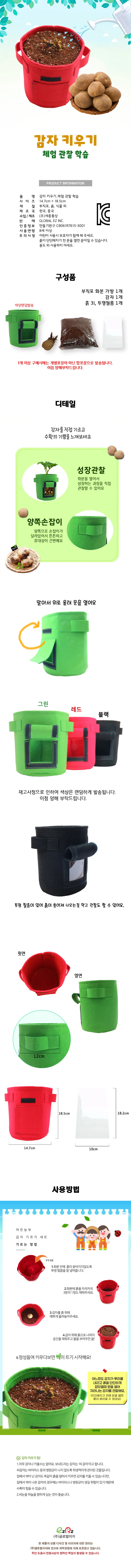 뚝딱 감자 키우기 식물 기르기 체험 관찰 학습 상세1