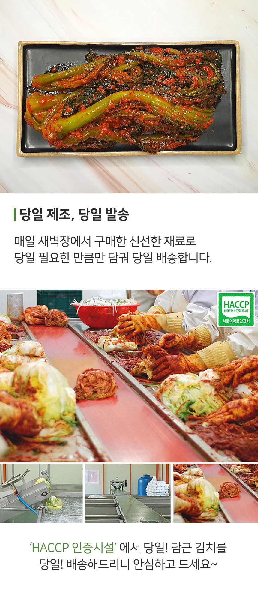 당일생산 전라도 대감마님 갓김치 5kg (100% 국산재료) 상세4