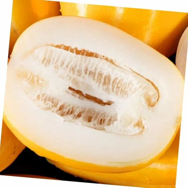 참외 10kg 대과 꿀참외 지금맛있는과일 여름과일