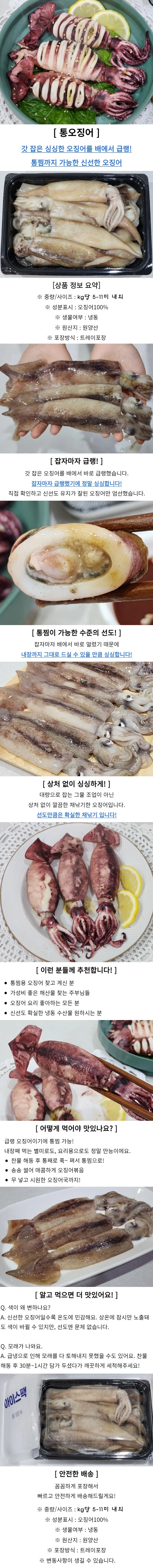 냉동 오징어 2kg 상세1