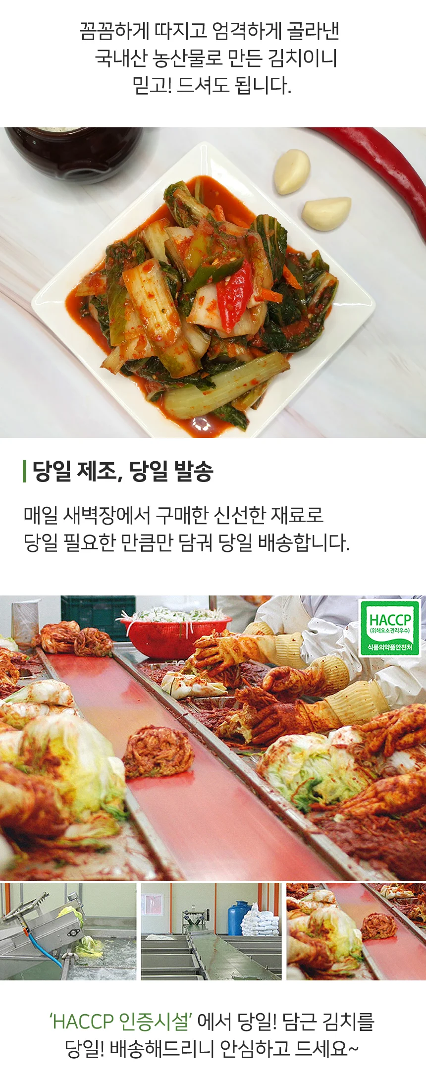 100% 국산 전라도 얼갈이김치 10kg 당일제조 맛있는 수제 아삭한 상세4